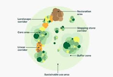 Nature Network Integration (NNI)